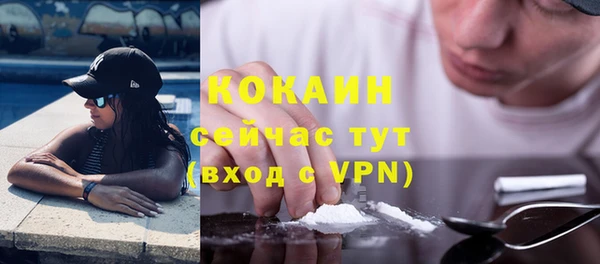 гашик Снежинск