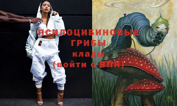 гашик Снежинск