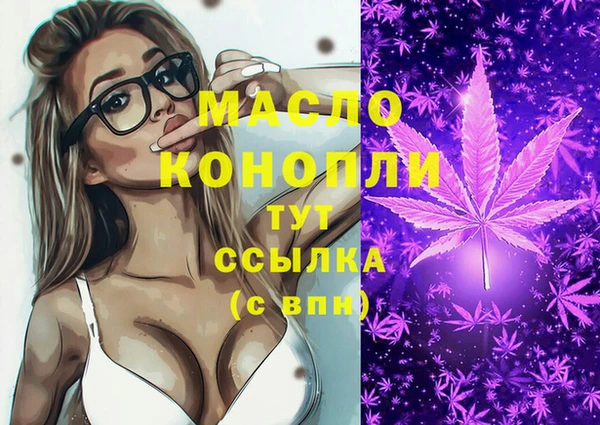 гашик Снежинск